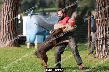 IMG_9376.jpg