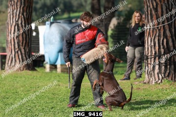 IMG_9416.jpg