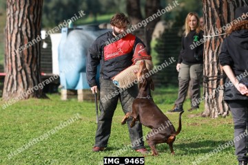IMG_9465.jpg