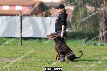 IMG_9523.jpg