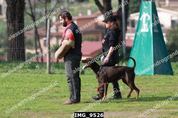 IMG_9526.jpg
