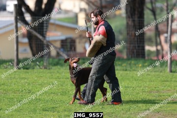 IMG_9557.jpg
