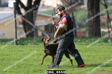 IMG_9559.jpg
