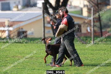 IMG_9563.jpg
