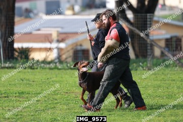 IMG_9573.jpg