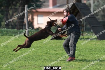IMG_9610.jpg
