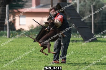 IMG_9613.jpg