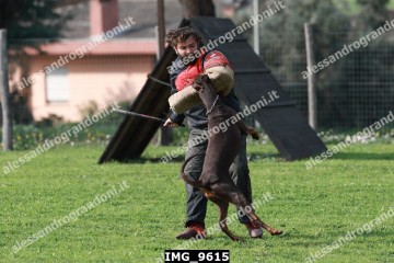 IMG_9615.jpg