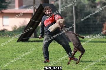 IMG_9618.jpg