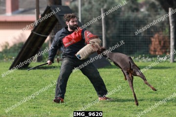 IMG_9620.jpg