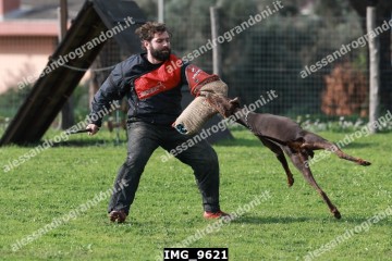 IMG_9621.jpg
