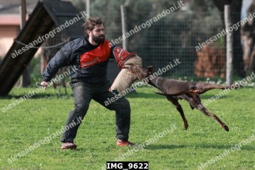IMG_9622.jpg