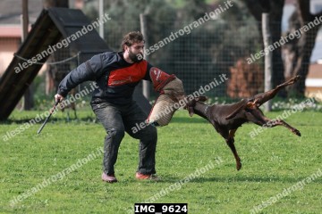 IMG_9624.jpg