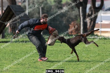 IMG_9626.jpg