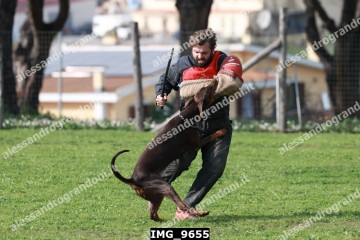 IMG_9655.jpg