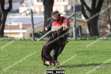 IMG_9658.jpg