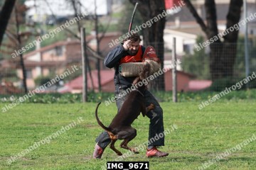 IMG_9671.jpg