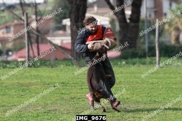 IMG_9676.jpg