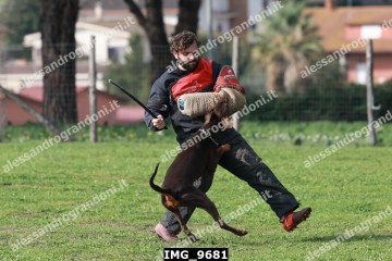 IMG_9681.jpg