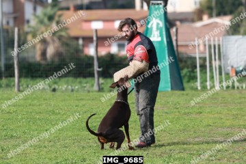 IMG_9685.jpg