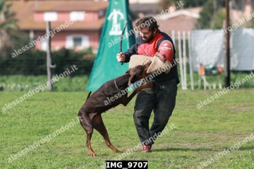 IMG_9707.jpg