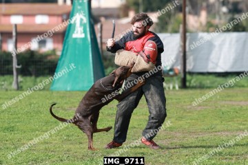 IMG_9711.jpg