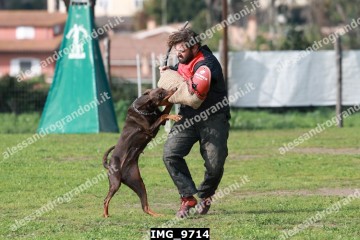 IMG_9714.jpg