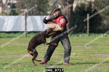 IMG_9717.jpg