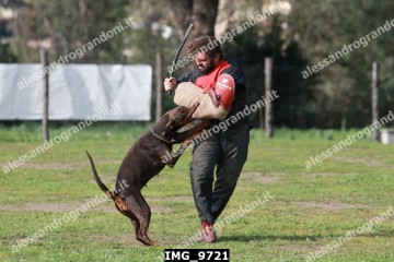 IMG_9721.jpg