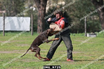 IMG_9725.jpg