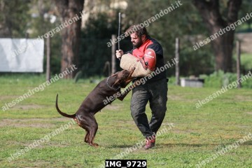 IMG_9729.jpg