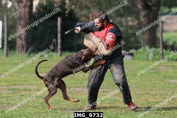 IMG_9732.jpg
