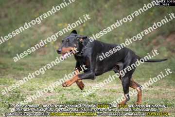 IMG_3697.jpg