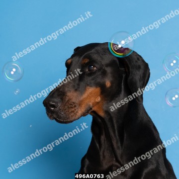 496A0763.jpg