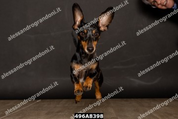 496A8398.jpg