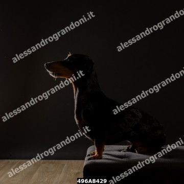 496A8429.jpg