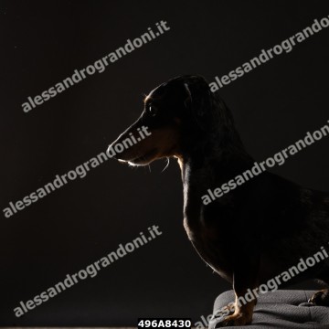 496A8430.jpg