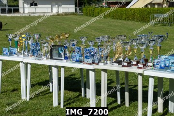 IMG_7200.jpg