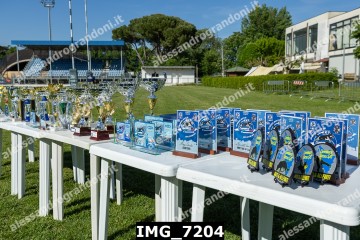 IMG_7204.jpg
