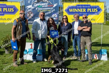IMG_7271.jpg