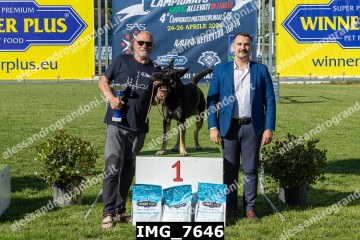 IMG_7646.jpg