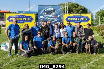 IMG_8294.jpg