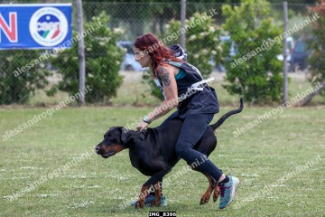 IMG_8396.jpg