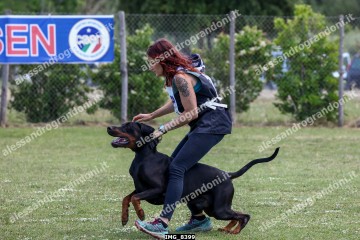 IMG_8399.jpg