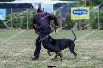 IMG_8453.jpg
