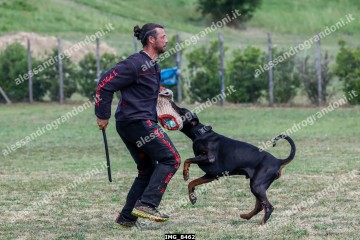 IMG_8462.jpg
