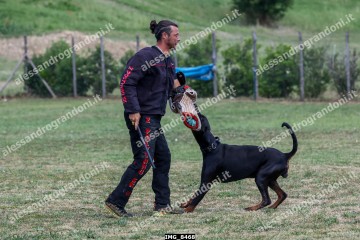 IMG_8468.jpg