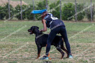 IMG_8533.jpg