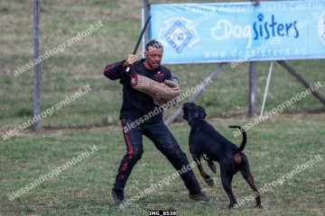 IMG_8536.jpg