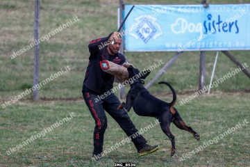 IMG_8539.jpg
